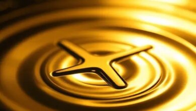 XRP im Detail verstehen 2026 30 ripples crypto