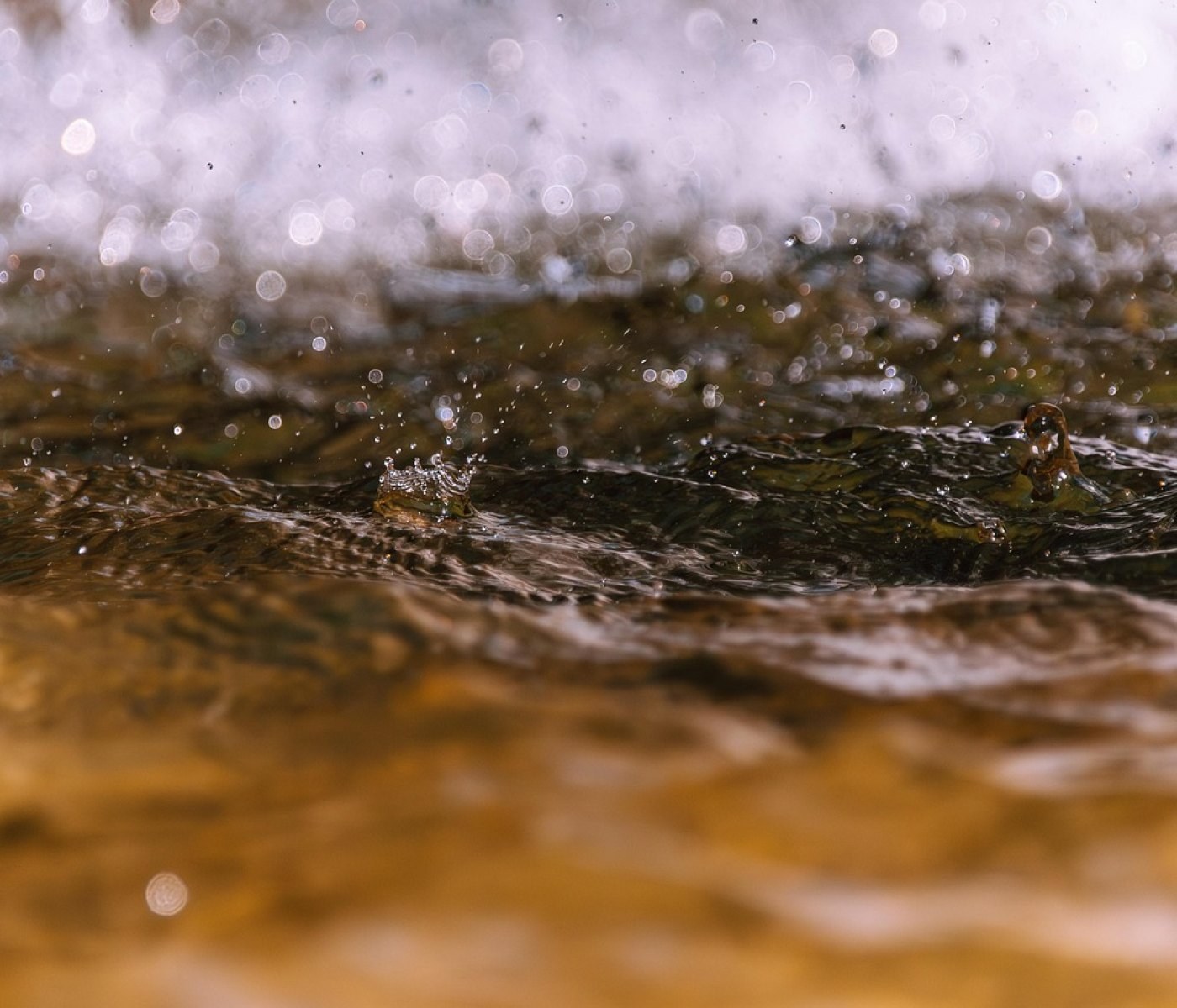 Liquid Staking: Risiken und Chancen für Anleger 1 Liquid Staking: Risiken und Chancen für Anleger